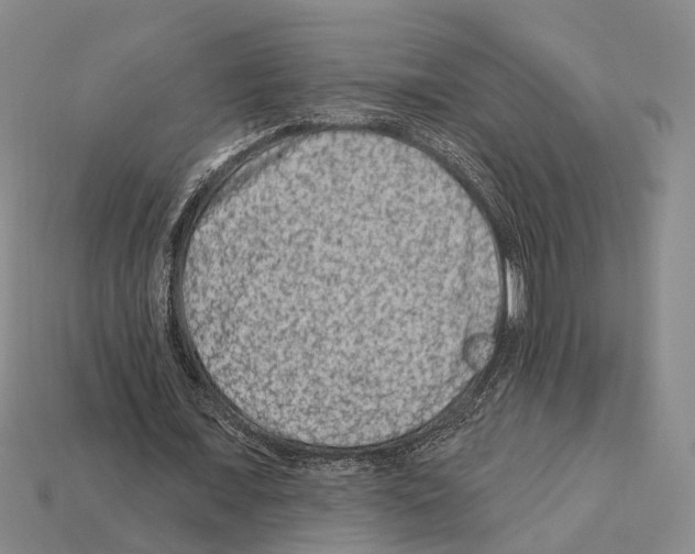 X0000112420675200909251517