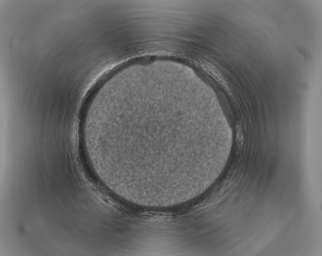 X0000112420676200909251517