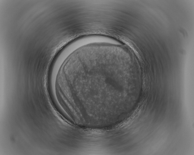 X0000112420677200909251517