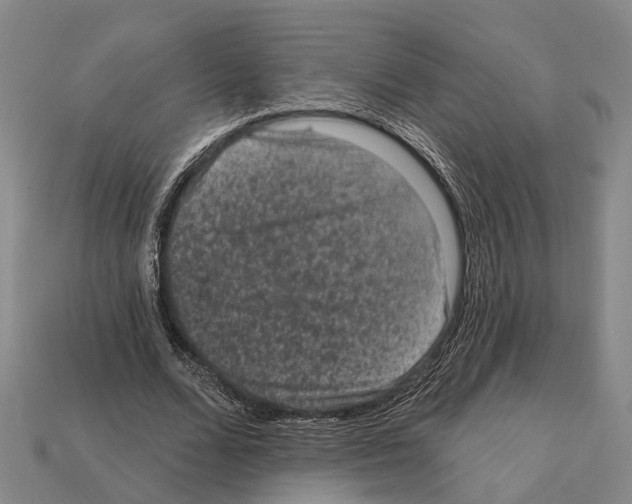 X0000112420680200909251516