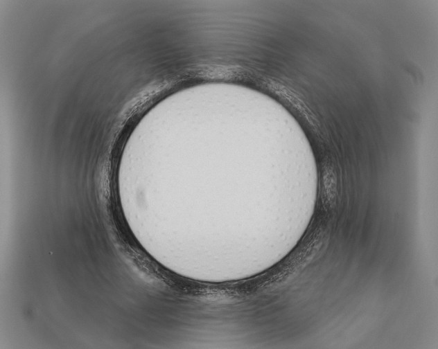 X0000112420682200909251516