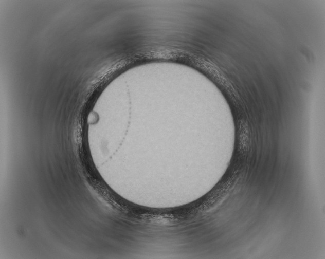 X0000112420683200909251516