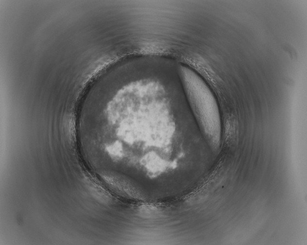 X0000112420684200909251516