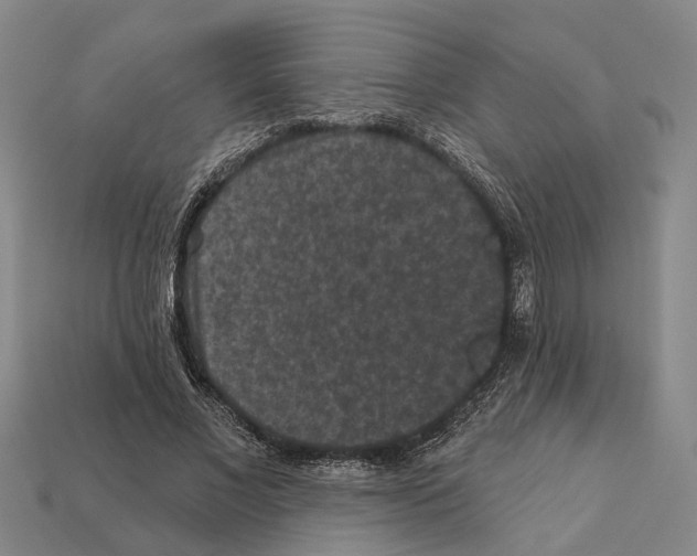 X0000112420685200909251516