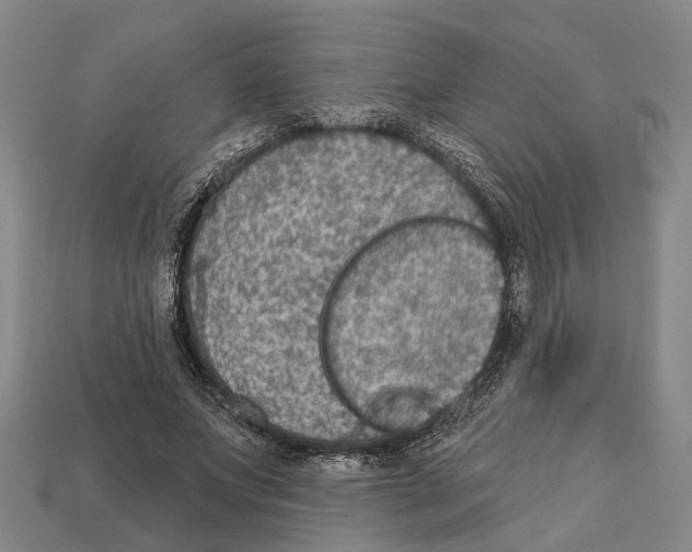 X0000112420687200909251516