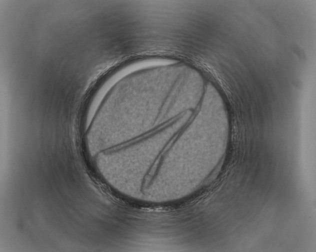 X0000112420688200909251516