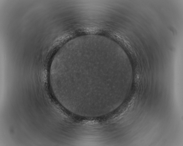 X0000112420689200909251516