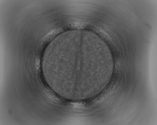 X0000112420693200909251516