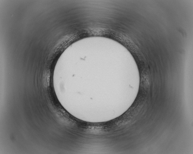 X0000112420694200909251516