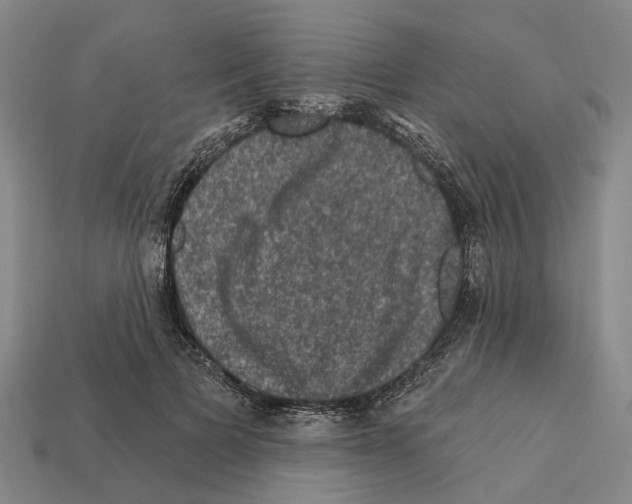 X0000112420697200909251516