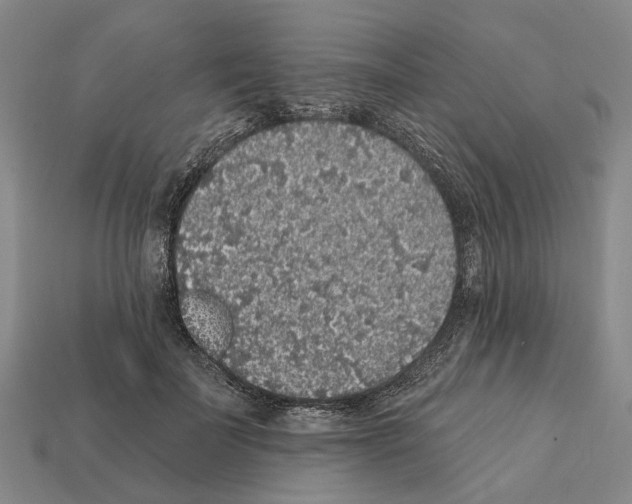 X0000112420699200909251516