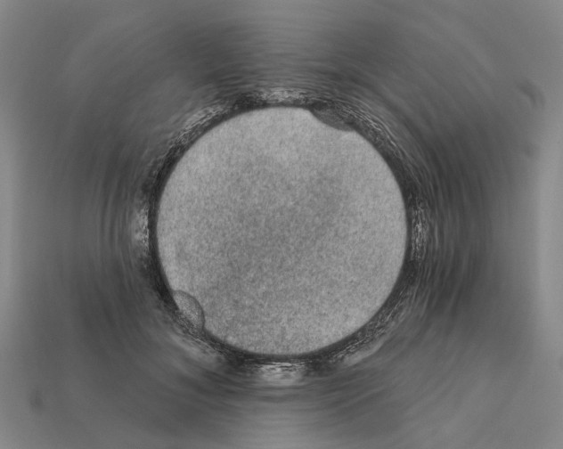 X0000112420700200909251516