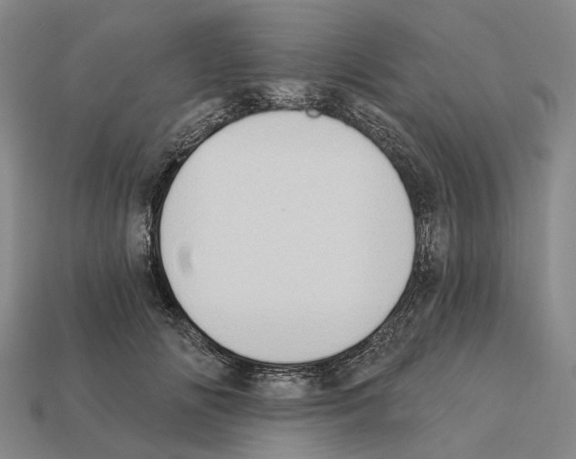 X0000112420702200909251516