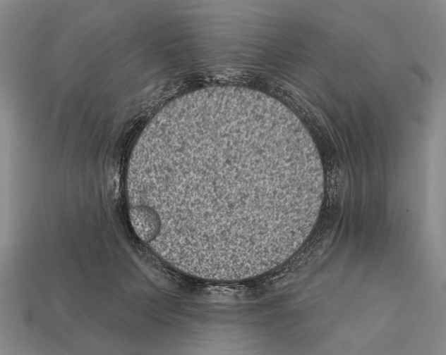 X0000112420703200909251516