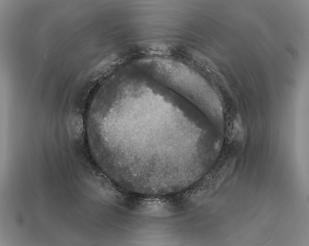 X0000112420704200909251516