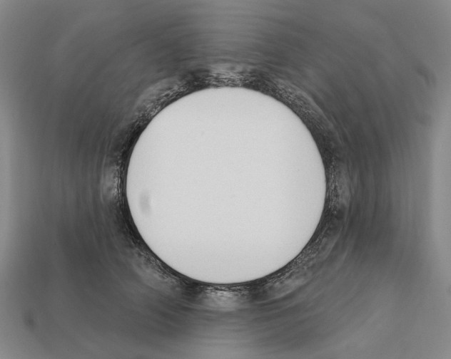 X0000112420706200909251516