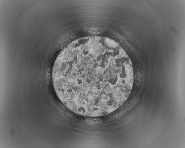 X0000112420707200909251516