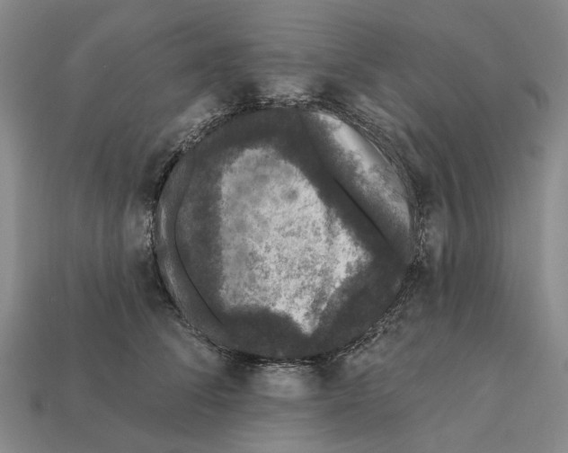 X0000112420708200909251516