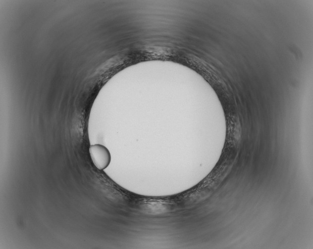 X0000112420710200909251516