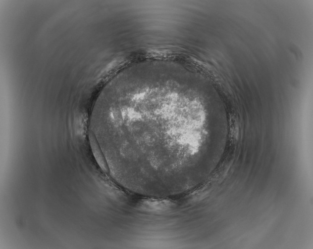 X0000112420712200909251516