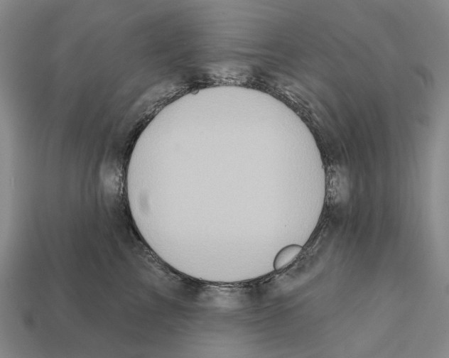 X0000112420713200909251516