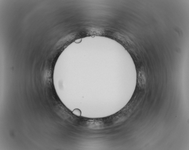 X0000112420714200909251516