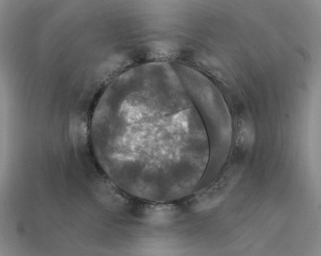 X0000112420716200909251516