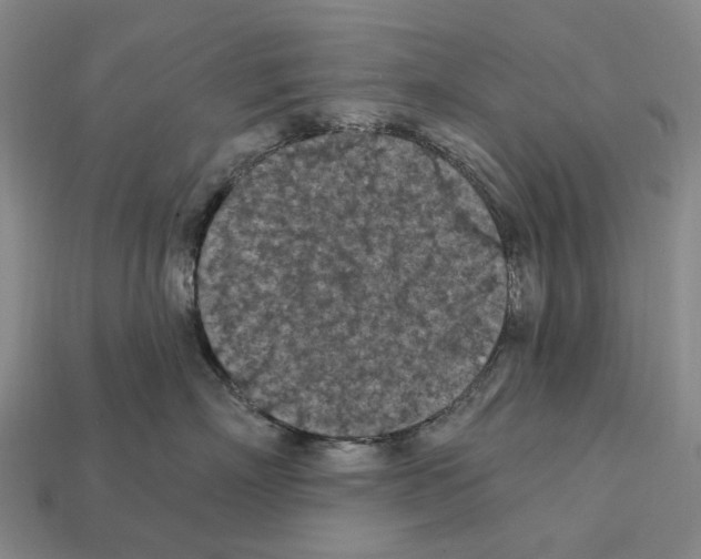 X0000112420718200909251516