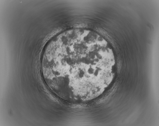 X0000112420721200909251515