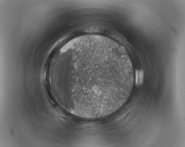 X0000112420723200909251515