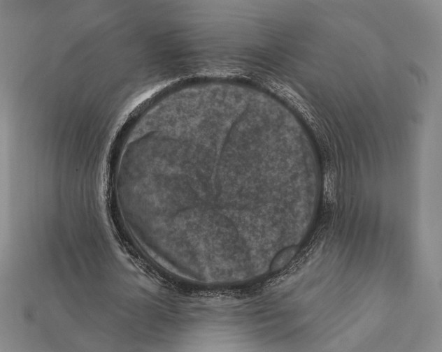 X0000112420724200909251515