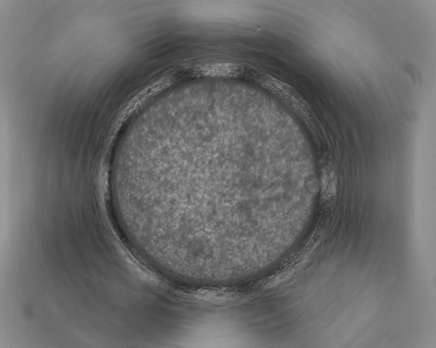 X0000112420725200909251515