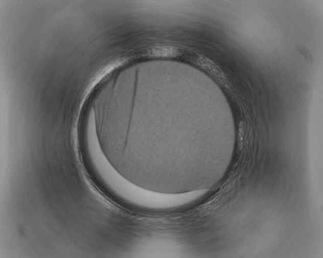 X0000112420726200909251515