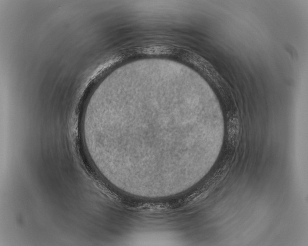 X0000112420727200909251515