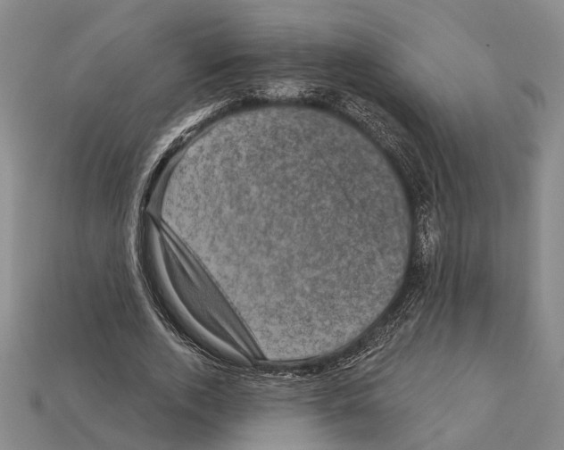 X0000112420728200909251515