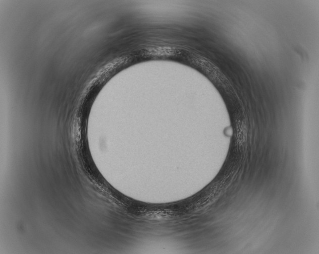 X0000112420731200909251515