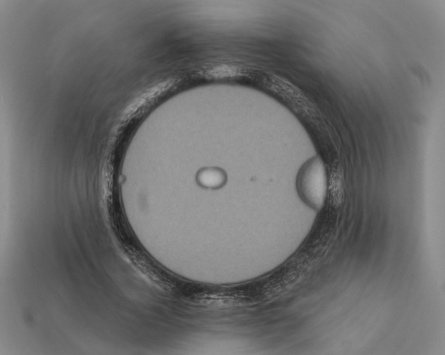 X0000112420732200909251515