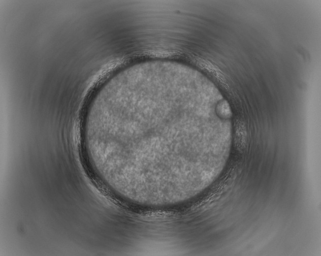 X0000112420734200909251516