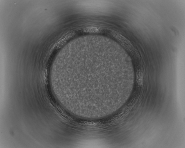 X0000112420735200909251516