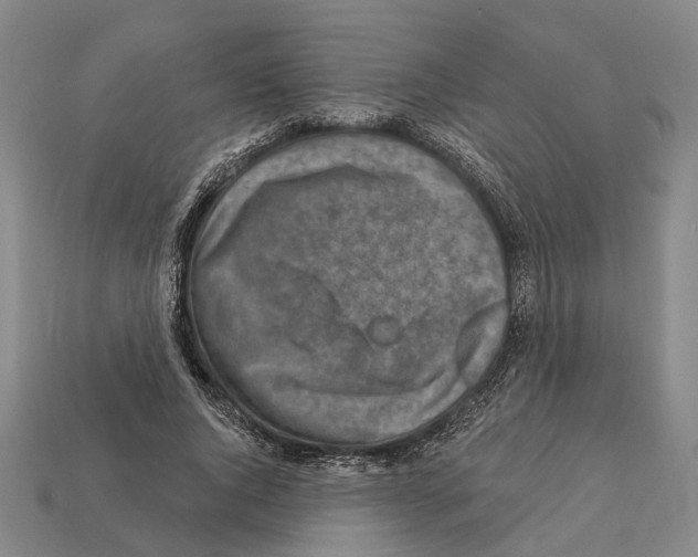 X0000112420736200909251516