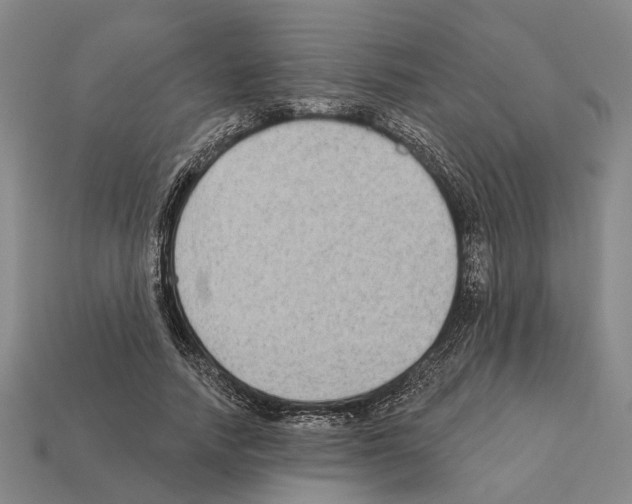 X0000112420738200909251516