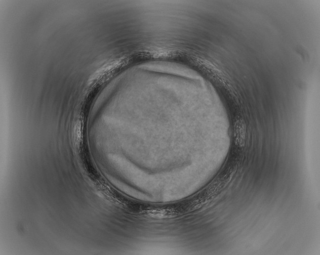 X0000112420740200909251516