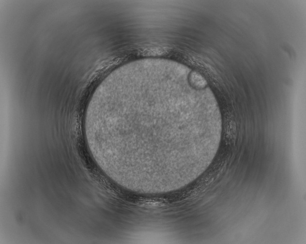 X0000112420743200909251516