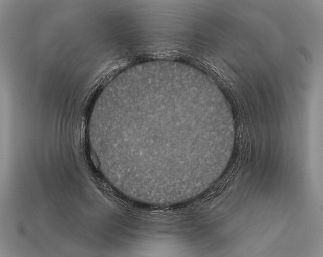 X0000112420744200909251516