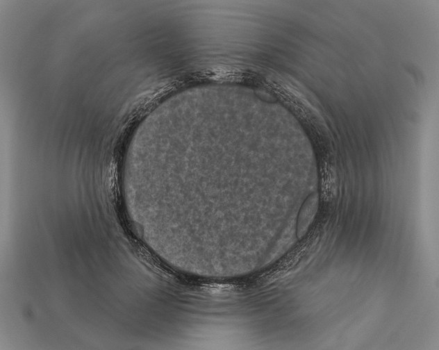 X0000112420748200909251516