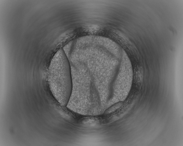 X0000112420750200909251516