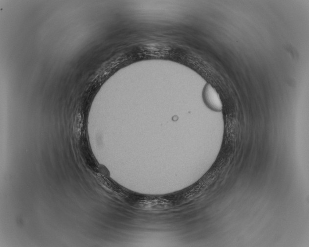 X0000112420752200909251516