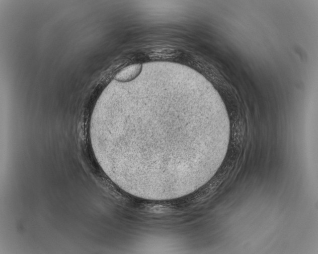 X0000112420755200909251516