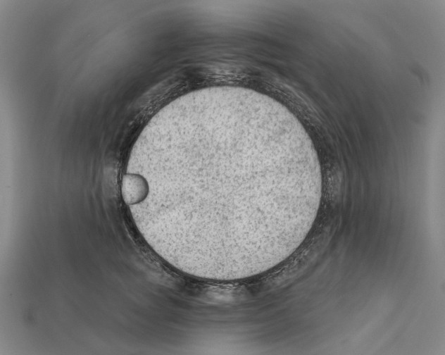 X0000112420757200909251516