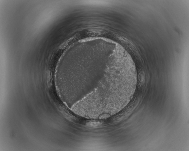 X0000112420759200909251516